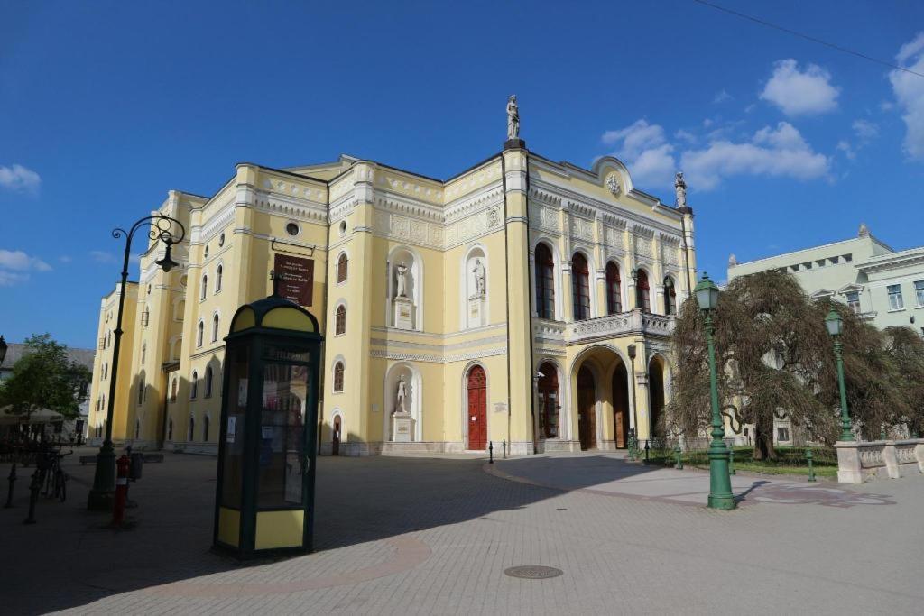 Belvarosi Lakas, Ingyenes Parkolassal Debrecen Buitenkant foto